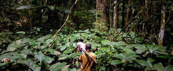 Chasseurs au Gabon. © Brent Stirton, Getty Images for FAO, CIFOR, CIRAD, WCS